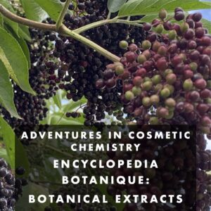 Encyclopedia Botanique - Botanical extracts