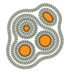 Diagram of a lamellar gel network