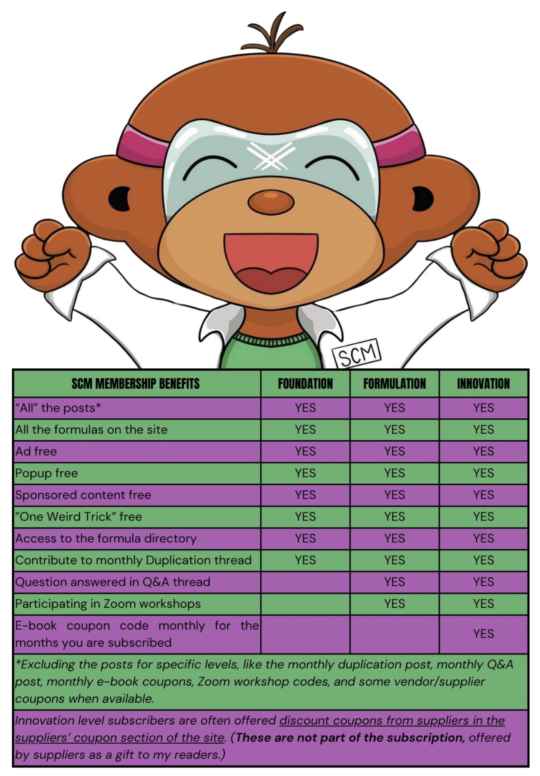 A chart with the monthly subscription levels with the name of the subscription level and the benefits for each level. 