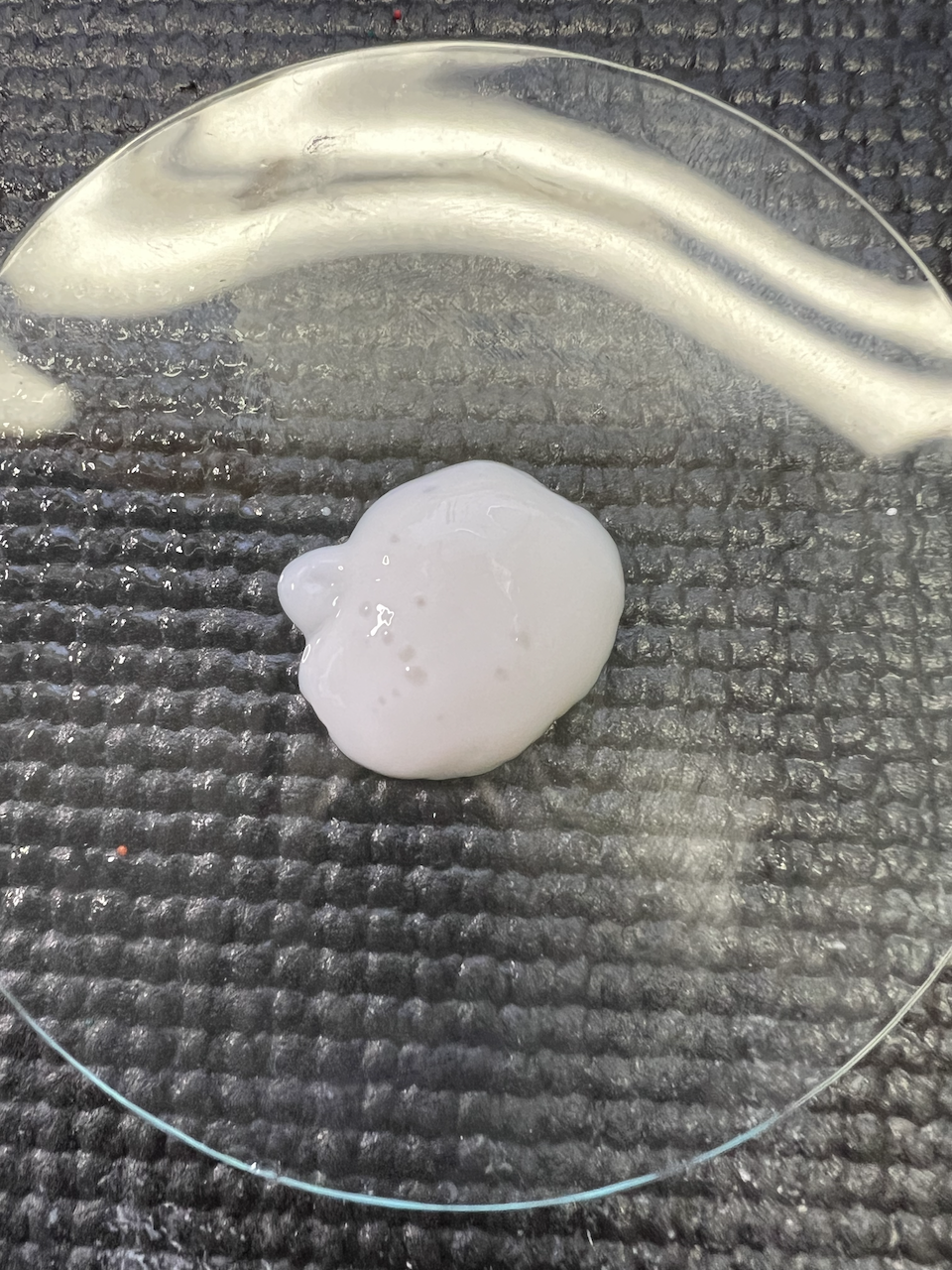 A white blob of lotion sits on a glass watch glass with a black background
