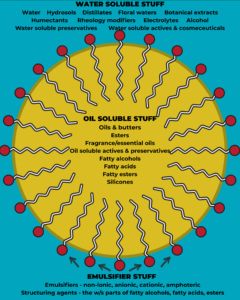 A diagram of a micelle showing the water soluble ingredients on the outside of the micelle, the oil soluble ingredients inside the micelle, and what's in the emulsifier phase. I am addressing each of these in the text