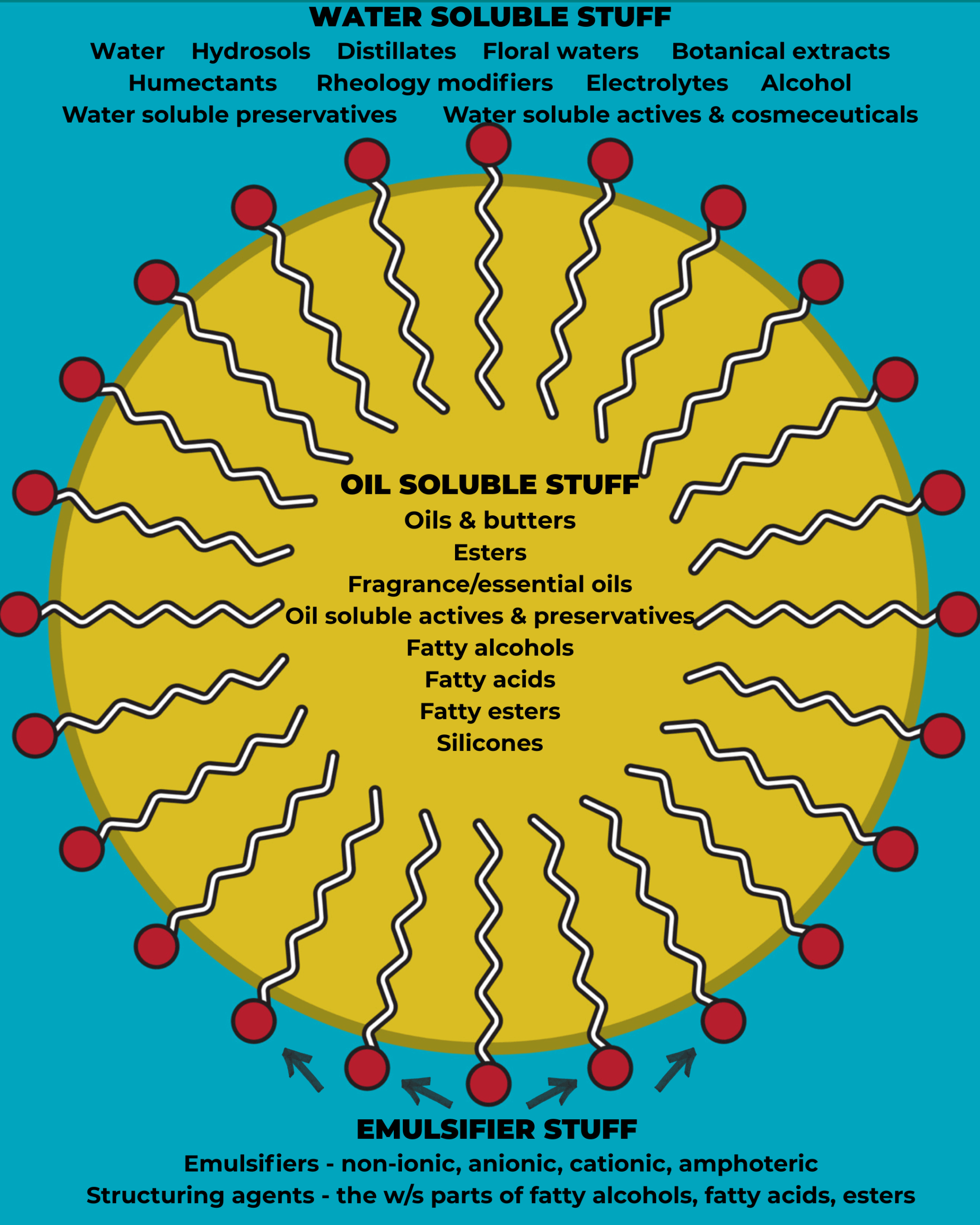 A diagram of a micelle showing the water soluble ingredients on the outside of the micelle, the oil soluble ingredients inside the micelle, and what's in the emulsifier phase. I am addressing each of these in the text