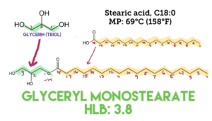 A diagram showing how glycerin and stearic acid react to create glyceryl stearate, an ester