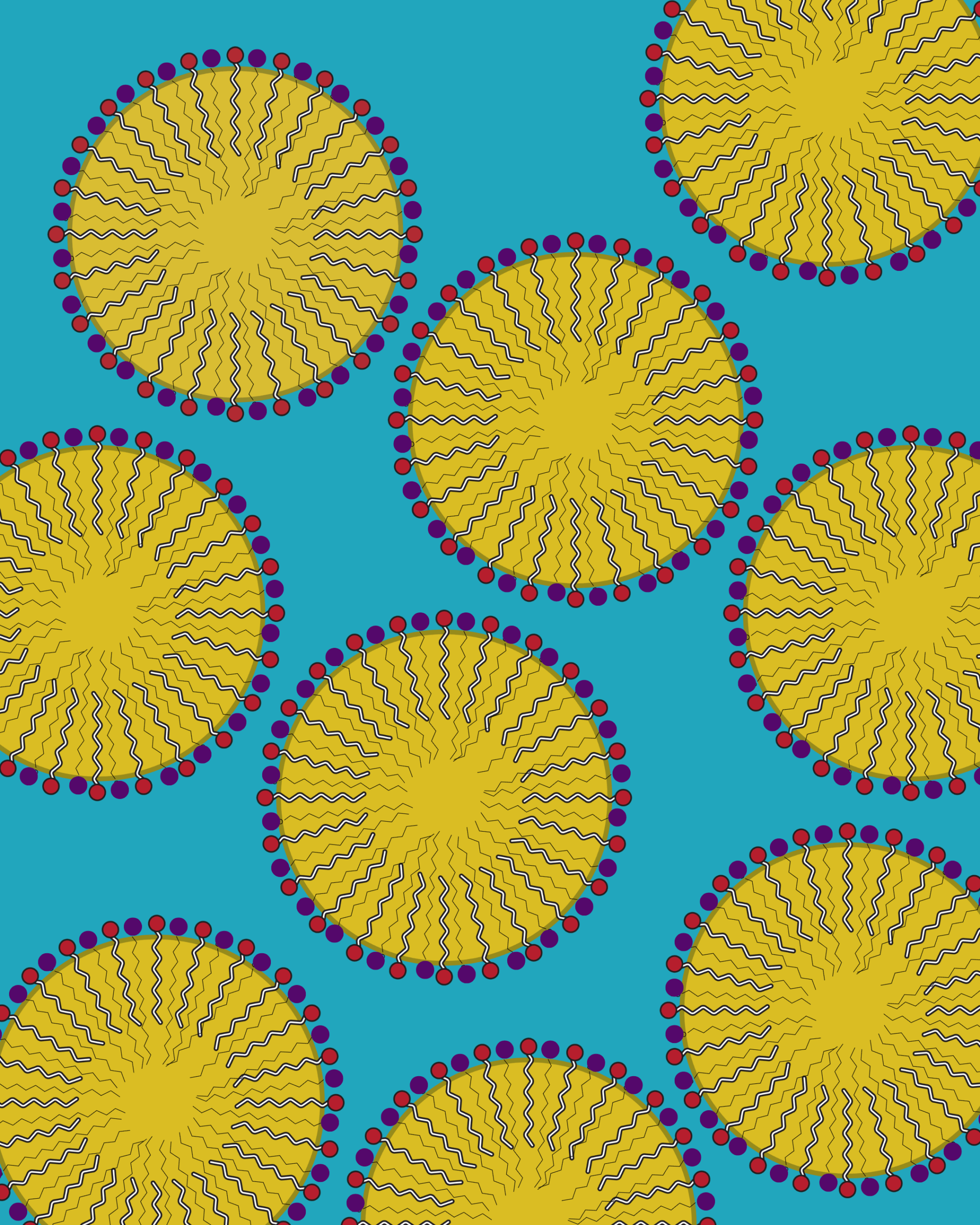 An illustration of oil-filled micelles floating in a sea of water. They are all the same size.