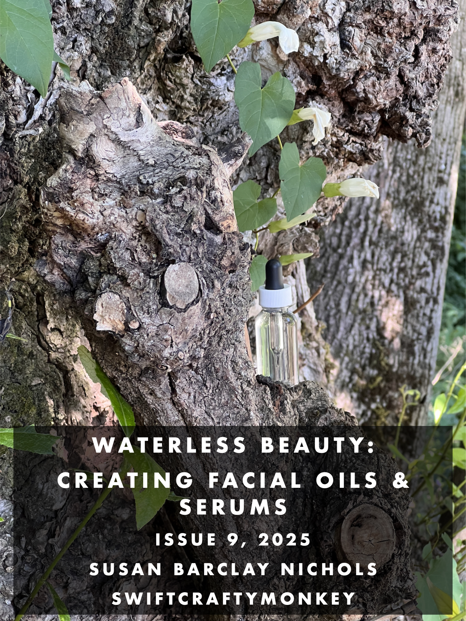 Cover of the e-book, Waterless beauty: Facial oils and serums, issue 9 for 2025. Issued in December 2025. It shows a tree with a clear dropper bottle nestled in the leaves.